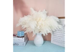 LZGS GO SWING BANDS Flores secas Decoracion Pampas Secas Decoracion Ramo Flores Secas Naturales DIY Ideal para Salón Boho Dormitorio Jarrones (LZGSGO-0108)