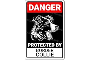 MUYIASER Danger Protected By Border Collie Beware Of Dog Sign Aluminum Metal Tin Signs Door Sign Warning Sign For Fence Gate Yard Home Wall Decor 8x12 Inch