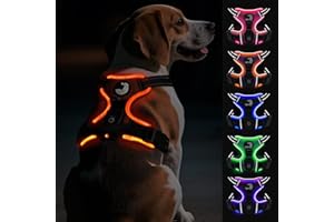 Joytale Harnais Lumineux Rechargeable pour Chiens de Taille Moyenne, Harnais LED Anti-Traction Chien réglable réfléchissant avec poignée, pour Promener la Nuit, Orange, M