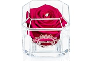 A 100% Real Rose That Lasts Years - Eternal Petals, Handmade in UK – White Gold Solo with A Multicolor Crystal (Fuchsia)