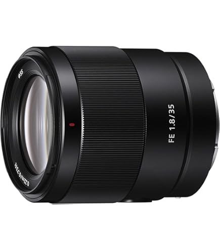 Sony SEL28F20 FE 28mm f/2-22 Standard-Prime Lens for