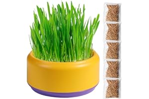 Rianpesn Vaso Idroponico per Erba di Gatto | Kit per La Coltivazione di Erba per Gatti per Uso Alimentare | Fioriera per Erba Gatta, Kit per La Crescita De llerba Gatta Adatto per Uso Interno