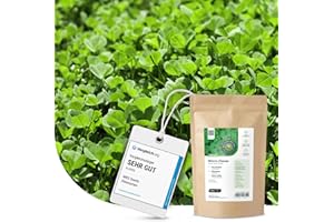 MRS SEEDS & MIXTURES Micro-trèfle - 1 kg pour 300 m² - Résistant à la sécheresse - Pelouse extra dense et verte sans mousse - Libération lente d’azote - Faible besoin en entretien