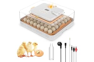 WIWOLER Incubadora Huevos Gallina, Incubadora de 56 Huevos con Volteo Automático de Huevos y Adición Automática de Agua, Control de Temperatura, Fuente de Alimentación Dual, Pantalla LED, Lámpara de Huevo