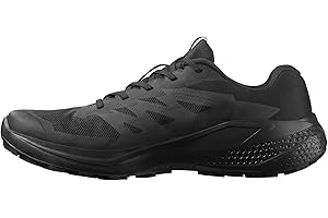 Salomon ALPHAGLIDE Gore-TEX Męskie buty trekkingowe, 46 EU, czarny, 46 EU