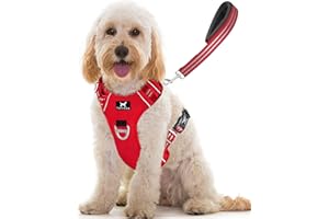 TUFFDOG Easy-Fit Dog Harness Medium - Fast Release Neck Clip, Premium Padded Reflective No Pull Harness with Control Handle, Adjustable Step-in Dog Vest Plus Free Matching Lead (M, Poppy Red)