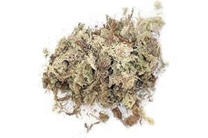RUNSMOOTH Hierba Seca Musgo Agua 6L para orquídeas Phalaenopsis, Suelo sustrato Cultivo sin Suelo, Suministros para jardín orquídeas (6L)