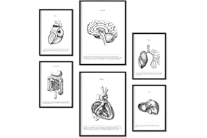 Nacnic Zestaw 6 plakatów z organami wewnętrznymi - kolekcja kolażu estetyki do dekoracji wnętrz, format A3 i A4, bez ramki