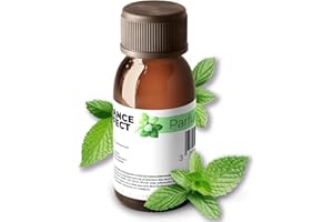 FE FRANCE EFFECT France Effect, Additif Arôme Menthe pour Liquide Machine à Fumée - 20 ml, odeur menthe fraîche, pour 5 Litres de liquide à fumée