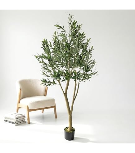 Amazon.de: TreeTica Olivenbaum knstlich 180 cm  naturgetreuer Olivenbaum  Gro & Pflegeleicht  Oliven Kunstpflanze als Deko Wohnzimmer,  Schlafzimmer, Bro & Home Decoration