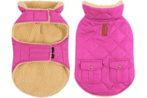 CITÉTOILE Manteau Chien d'hiver Chaud - Veste Polaire Fourrée Coupe-Vent avec Trou de Corde de Traction, Vêtement pour Chiens Chat Teckel Chihuahua, Rose, XS