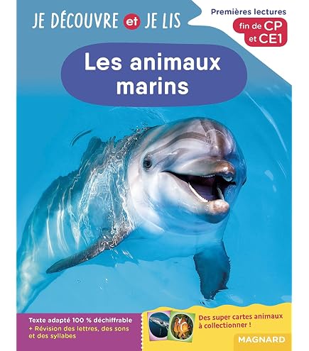 Kit Magnétique 10 Cadres Montessori - 5 Cadres + 50 Disques Colorés + Chiffres EVA - Jeu éducatif Maths 4-8 Ans - 9