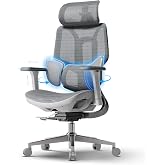 Hbada E3 Air Ergonomic Office Chair &ndash; Dynamic Lumbar Support with 3 Zones, 3D Headrest and 4D Arms, Ergonomic Desk Chair With