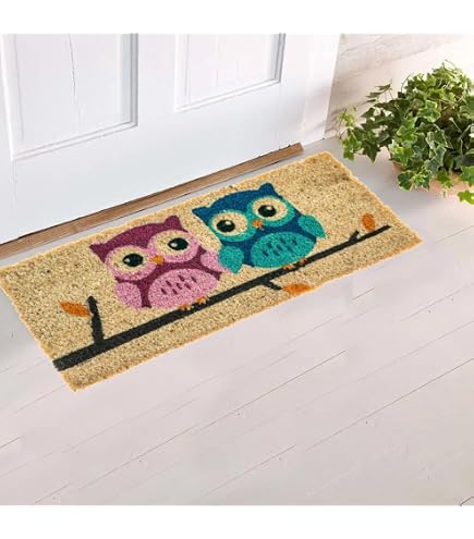Apache Mills Masterpiece AP759-1029F Door Mat, 30 in L, 18 in W, River