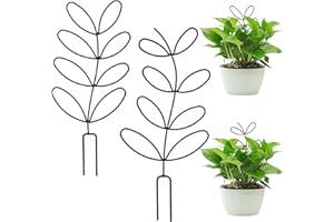 Amaxiu Lot de 2 Plantes en Pot Treillis pour Plantes, Petit Treillis métallique Pratique Support pour Plantes de Jardin MiniTreillis pour Plantes d'intérieur pour Plantes grimpantes Pots de Fleurs DIY