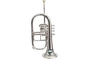 IMI Bocina de flúgel de instrumento musical indio, 4 válvulas, paso Bb de latón de alta calidad con funda rígida y boquilla (plateado)