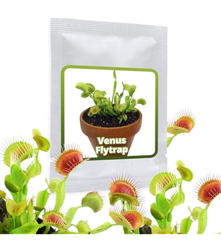 Terreau Spécial Plantes Carnivores Floragard - 3 Litres - Sans Engrais, Avec Perlite - Pour Dionées, Droseras, Sarracenias