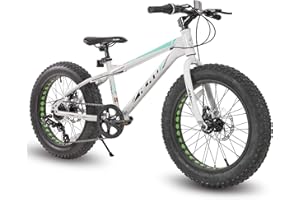 HH HILAND HILAND 20/24/26 Inch Fat Tire Mountain Bike, 7 Speed Mountain Bicycle, Dual Disc Brakes, Off-Road Bicycle for Adults and Teens, Blue/Green/Silver/White