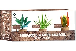 NOPALIA® Kit de Plantas Suculentas y Aloe Vera – Cultiva Tu Propio Mini Jardín – Agave, Carpobrotus y Aloe Vera – Regalo Ecológico y Original – Decoración para Casa y Oficina – DIY