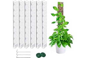 LINSOCLE 6 Pièces 60cm Tuteur Sphaigne,Tuteur Monstera, Moss Pole pour La Maison Monstera Jardin Plante Grimpantes Extension De Support De Plante
