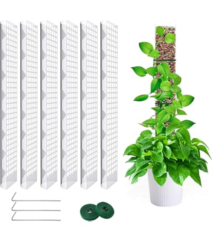 JurciCat 500g Mousse De Sphaigne Pour Plante Naturelle Comprimée Mousse De Sphaigne Pour Plantes En Pot Orchid Home Culture De Plantes à Fleurs