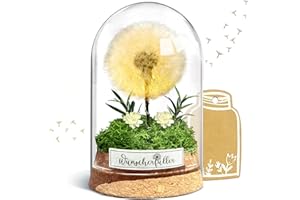 ‎INYESKON inyeskon Wunscherfüller mit LED Licht, Echte Pusteblume im Glass, Ewig Geburtstagsgeschenk für Frauen Freundin Mädchen Geschenke für Geburtstag Hochzeit Jugendweihe Weihnachten Valentinstag