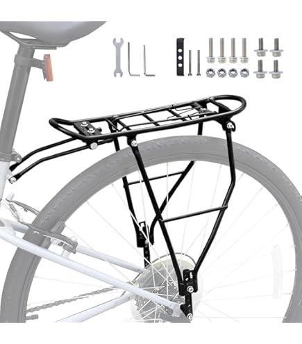 28 Zoll Fahrrad Gepcktrger Streben Lnge 160 mm Federklappe Silber  glnzend : Amazon.de: Sport & Freizeit