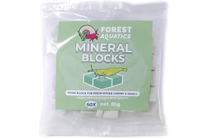 Forest Aquatics 50 x kalciummineralblock mat för räkor sniglar pleco krabbor neriter ramshorns
