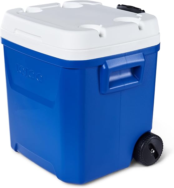 IGLOO Mini Kühlbox - 1