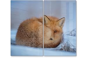 DEQORI Lot de 2 cacheplaques de cuisson en verre 60 x 52 cm Motif renard timide Plaques de protection pour plaque de cuisson Couvertures universelles Plaques en verre et planches à