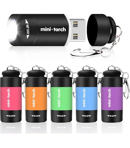 4 Mini Torce LED Ricaricabili USB – Impermeabili IPX8 Con Portachiavi, Per Campeggio Ed Emergenze, Assortite