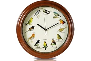 OOTB Out of the blue Reloj de Pared Melodía Ave
