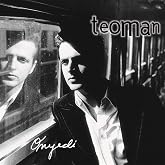GEREKSİZ ŞEYLER Teoman 17 Plak