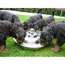 Royal Sapphire Welpennapf Aus Edelstahl – 29,5 Cm Durchmesser, Dreiteilig, Für Würfe & Kleine Hunde