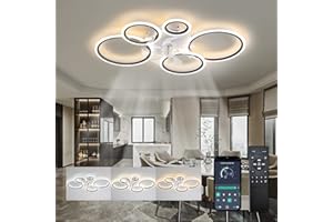 ycwdcz Black Modern Ceiling Fan Silent Circle Ceiling Fans with Lights and Remote DC Motor Reversible Summer Winter Mode for Bedroom Living Room Kitchen, 100cm