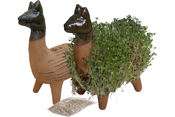 Figurine pour faire pousser votre propre cresson Différents animaux. Avec graines de cresson. Commerce équitable du Mexique.