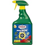 Substral Celaflor Pilzfrei Saprol Rosen AF Anwendungsfertiges Rosen-Spritzmittel zur Bekämpfung von Pilzkrankeiten wie Rosenr