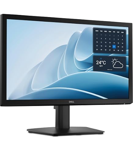 Dell SE2222H 22