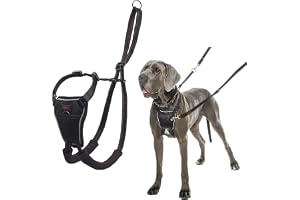Halti No Pull Hundsele | Storlek L, Svart | Förhindrar att din hund drar i kopplet. Justerbar, Lätt och Lätt att Använda, Ref