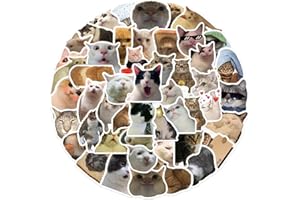 AUCEKO Lot de 50 autocollants pour chat Meme - En vinyle imperméable - Pour ordinateur portable, enfants, voitures, moto, vélo, skateboard, bagages, ordinateur, graffiti