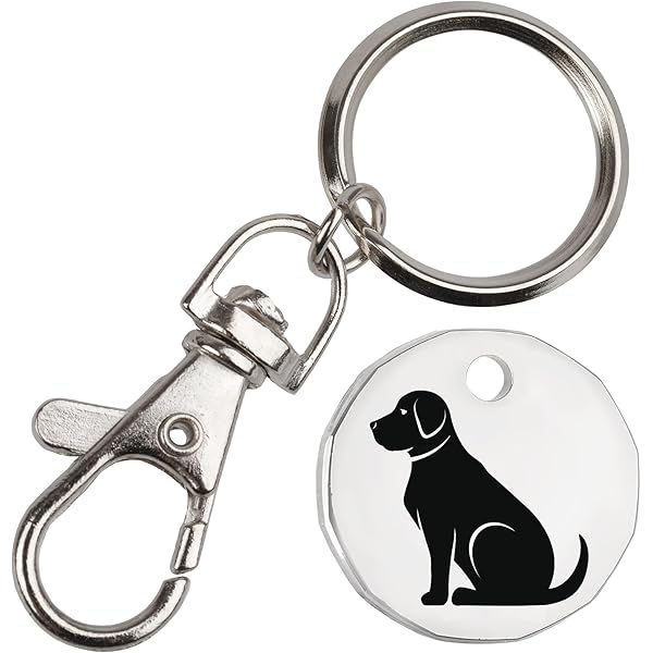 I ❤ Dad (love) Trolley Token Coin Key Rings X 1 Unit New 12 Sided Design | UK - View #11