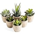 PRIMAISON Artificial Succulents Plants Potted Set-Decorative Fake Succulent Plant Faux Plastic Plant Indoor &Outdoor for House Office Desk Bathroom Kitchen DIY Decor Gift Set of 6