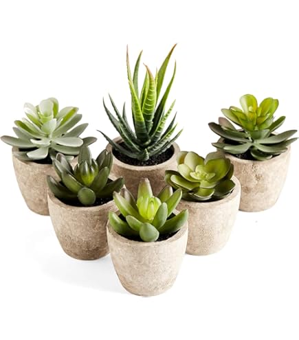 Veryhome 4 Piantine Artificiali In Vaso – Eucalipto, Rosmarino E Succulente Finte – Decorazione Casa Ufficio - 2
