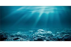 MIRRORANG 91x41cm Thème sous-Marin Aquarium Fond Soleil Monde sous-Marin Fish Tank Affiche Toile de Fond Fond Vinyle Fond