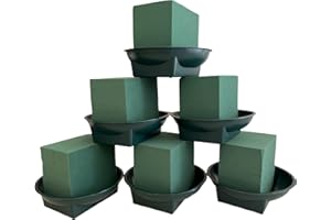 SILK FLOWER WAREHOUSE Lot de 6 blocs de fleurs en mousse avec plateaux d'eau - Oasis - Pour mariages et arrangements floraux - Parfait pour les fleurs fraîches et les fournitures de bricolage