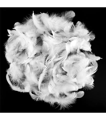 Lot De 300 Plumes Décoratives Blanches TOPCZY – 3,9 à 8,3 Cm, Naturelles, Pour DIY, Mariage, Fête, Attrape-Rêves Et Déco - 3