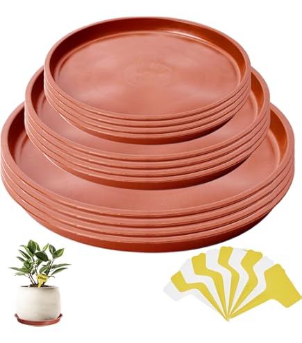 thumbnail image 2 of M METERXITY 2-Pack Plant Saucer, 9 Inch Flower Pot Saucers, Thicker Anti-Rot Root Plastic Plant Saucer For Indoor/Outdoor Potted Plant/Plant Water Catcher Tray [Grey 2 of 14