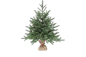 eveXmas 65 cm, sztuczna choinka, klasyczna zieleń, 62 gałązki, 100% polietylen, w zestawie stojak z płótna workowego