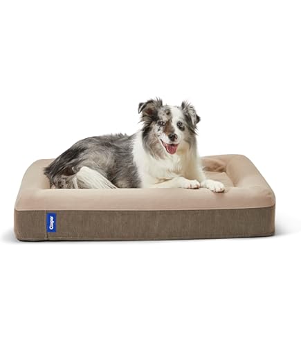 Casper Hundebett Groß – Plüsch Mit Memory-Schaum, Grau, Für Hunde Bis 40,8 Kg