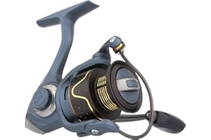Pflueger President Spinning Fishing Reel